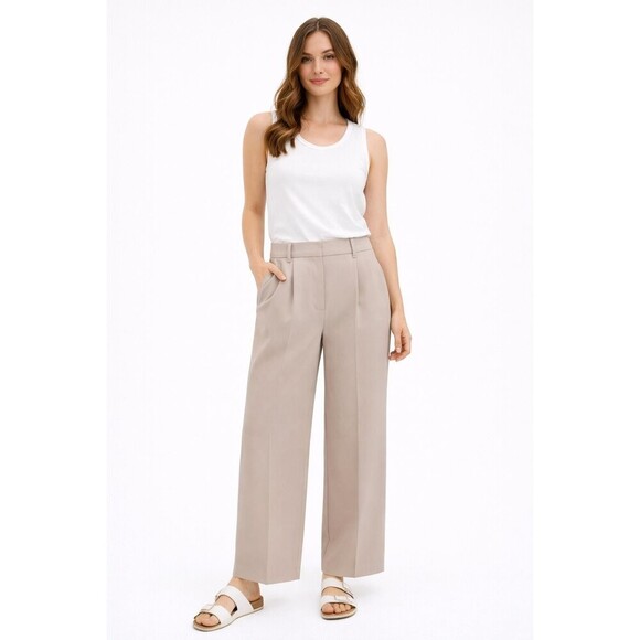 Abercrombie & Fitch Pants - Abercrombie & Fitch Pleated Wide-Leg Dress Pants Beige Womens 31X12 Office